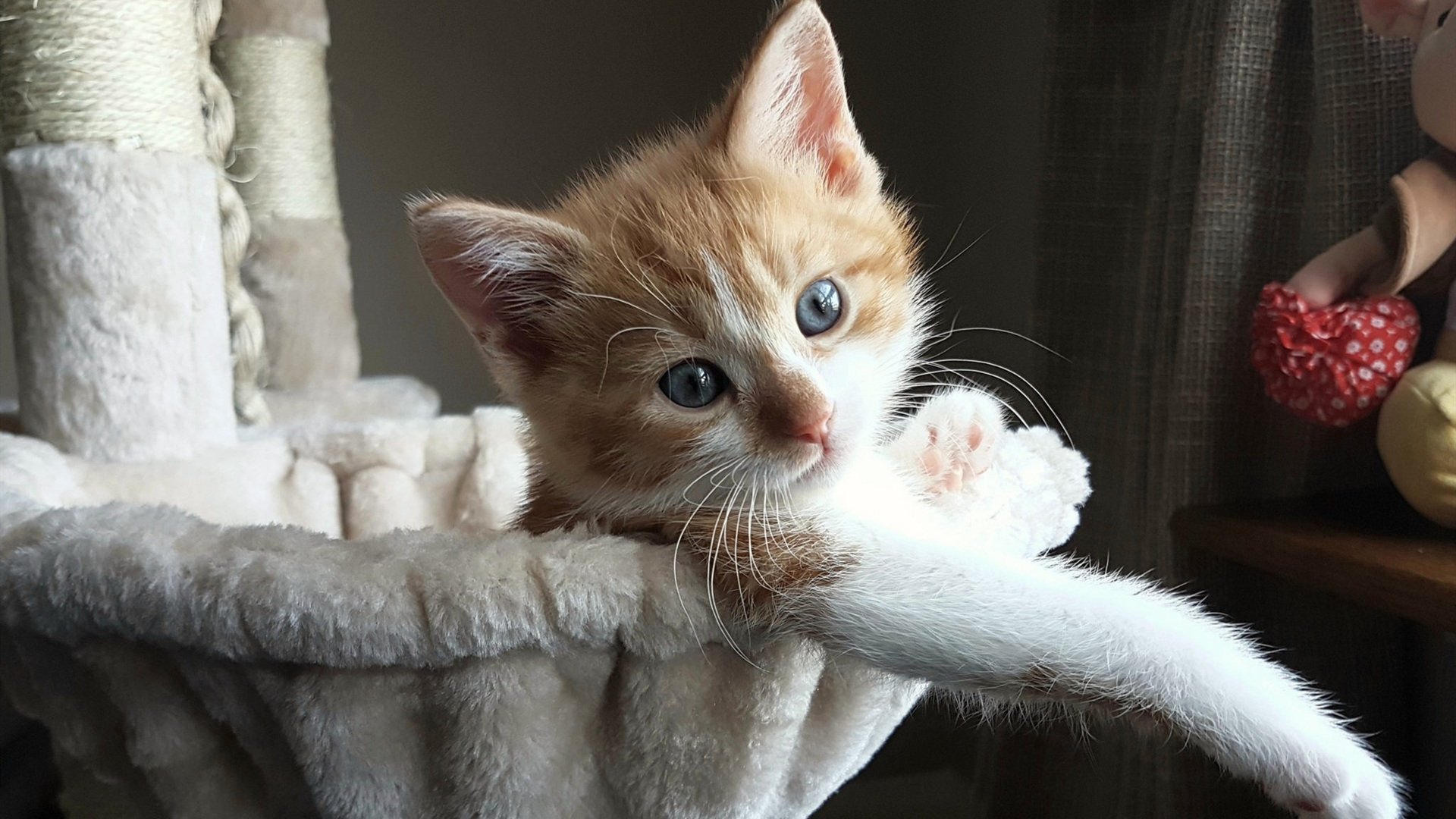 福克斯41分凿穿防线 爵士全民皆兵击溃步行者