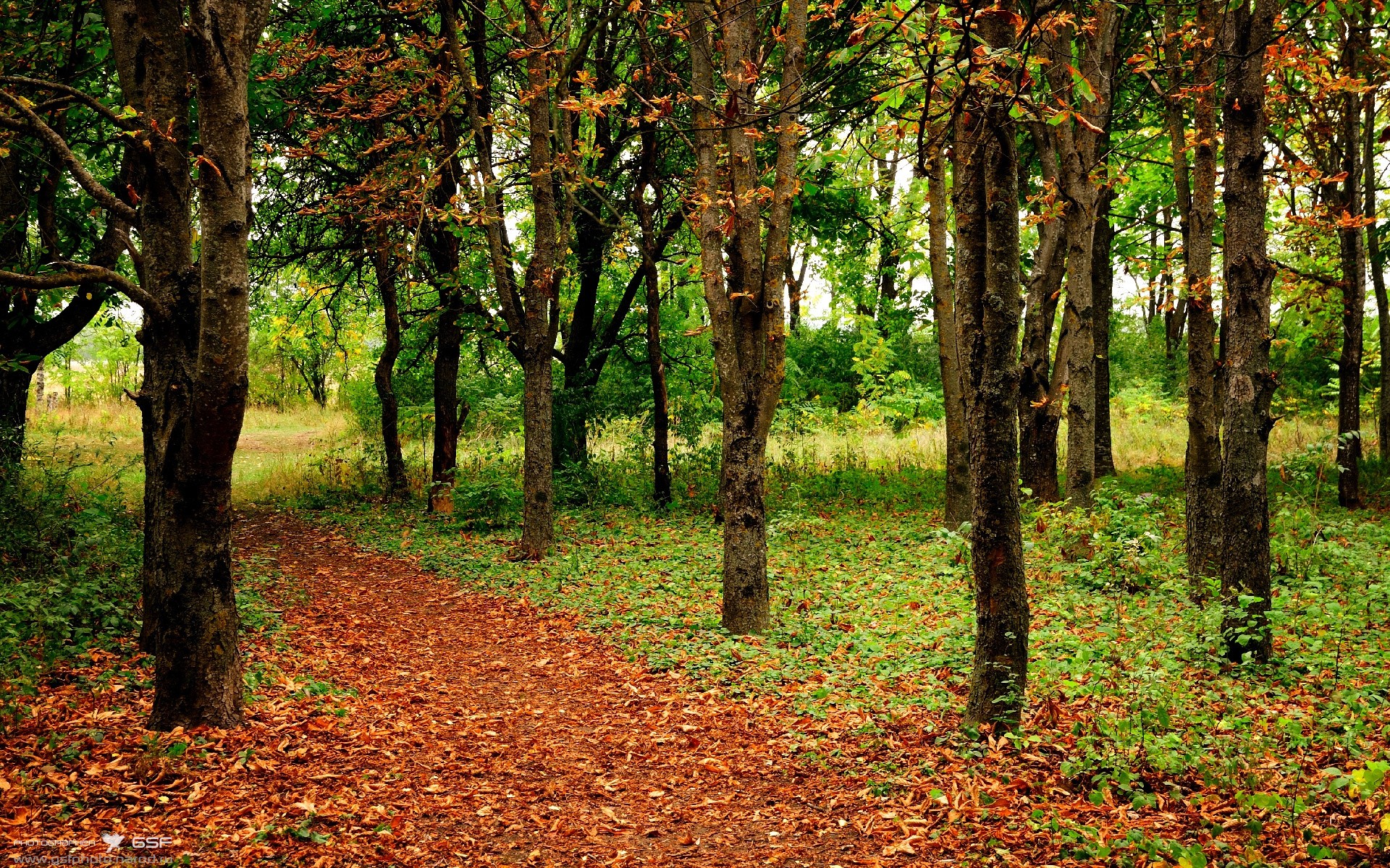 跨越联赛的决胜时刻，从莫兰特的关键制胜到新疆队淘汰广厦队