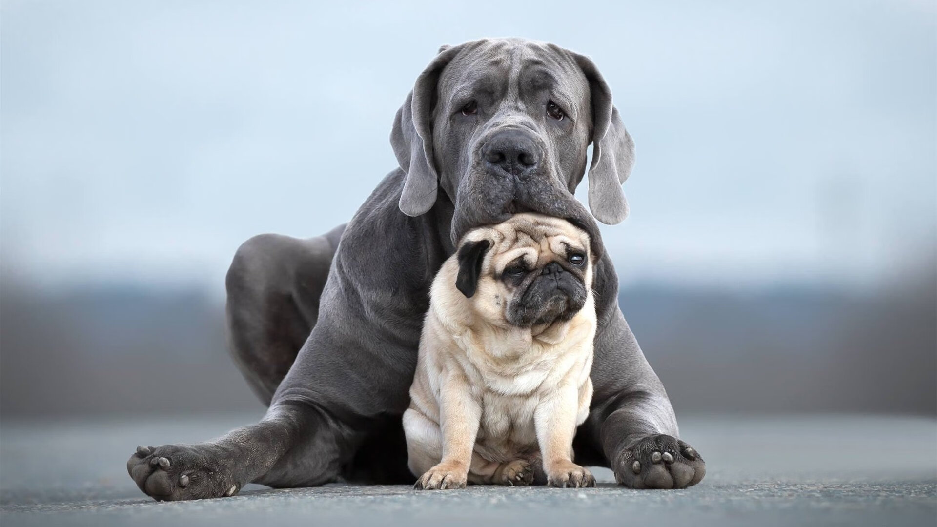 自由之刃刺穿金字塔，克瓦拉茨赫利亚的野性诗篇击碎埃及神话