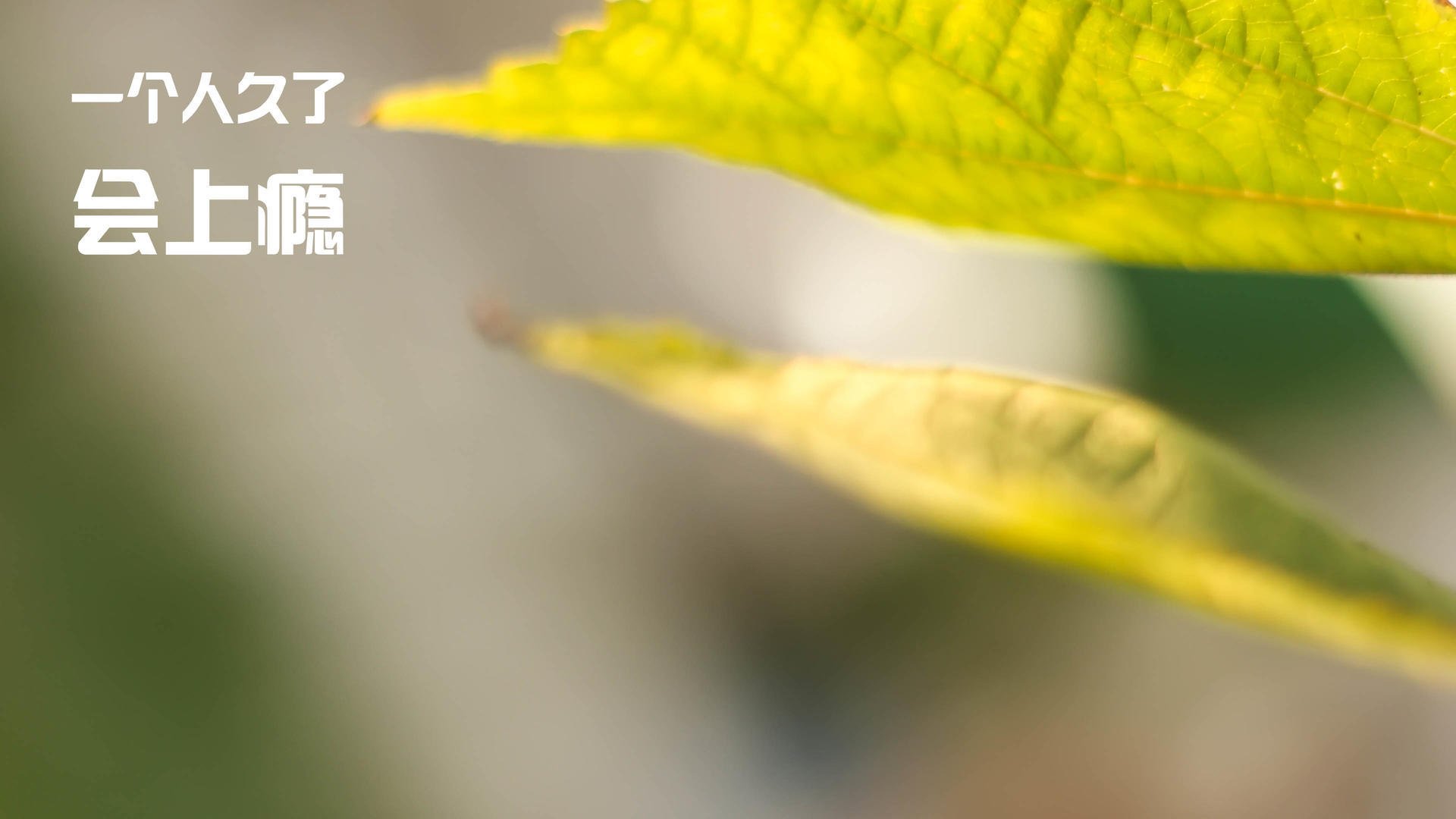 哈登47分燃爆休斯顿！火箭主场力克爵士，MVP级表现成全场焦点