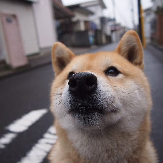 跨界巅峰战，文班亚马44+15难救主，广厦队加时险胜独行侠引爆篮球宇宙