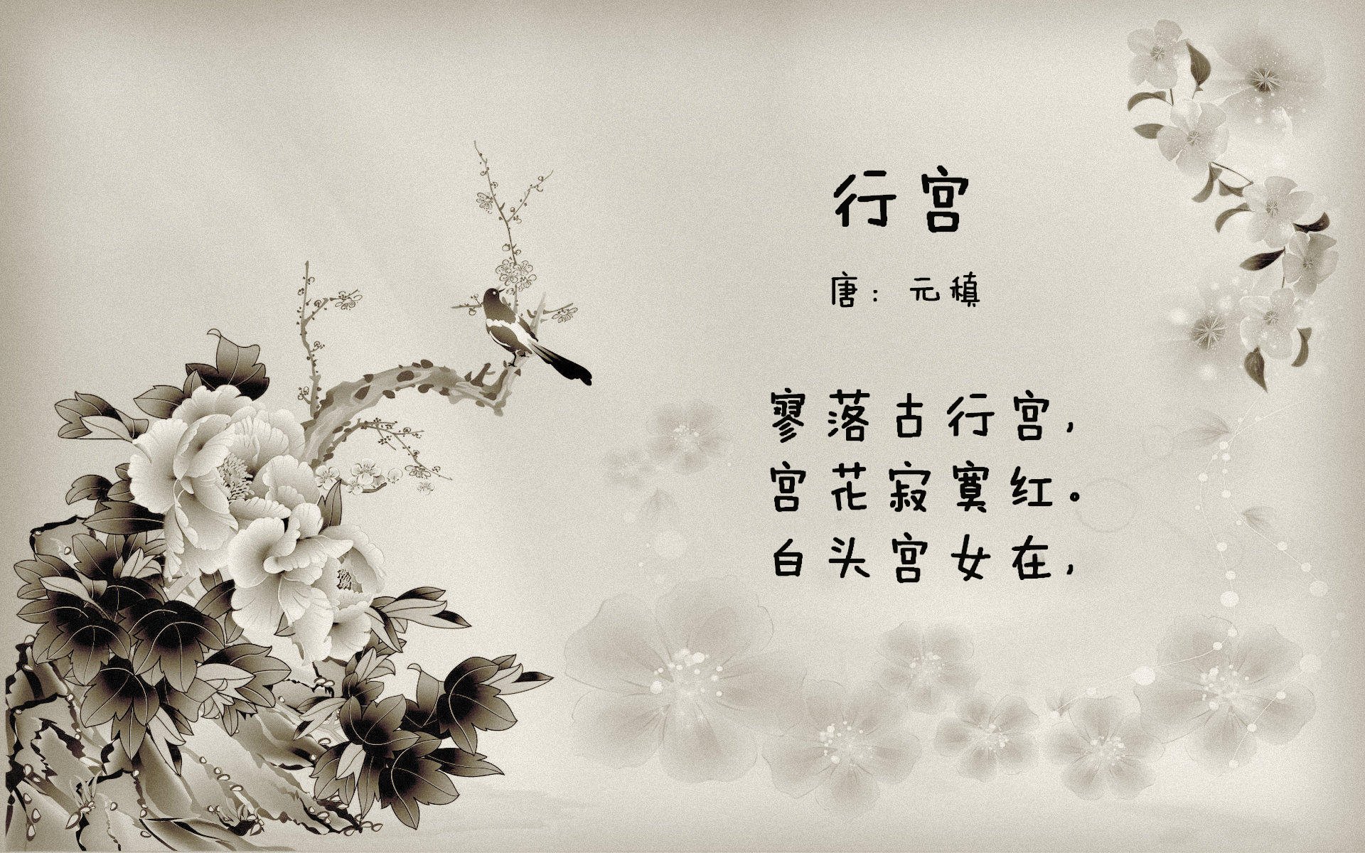 小贾伦稳定输出不掉线，鹈鹕攻防窒息稳稳拿下掘金夺赛点