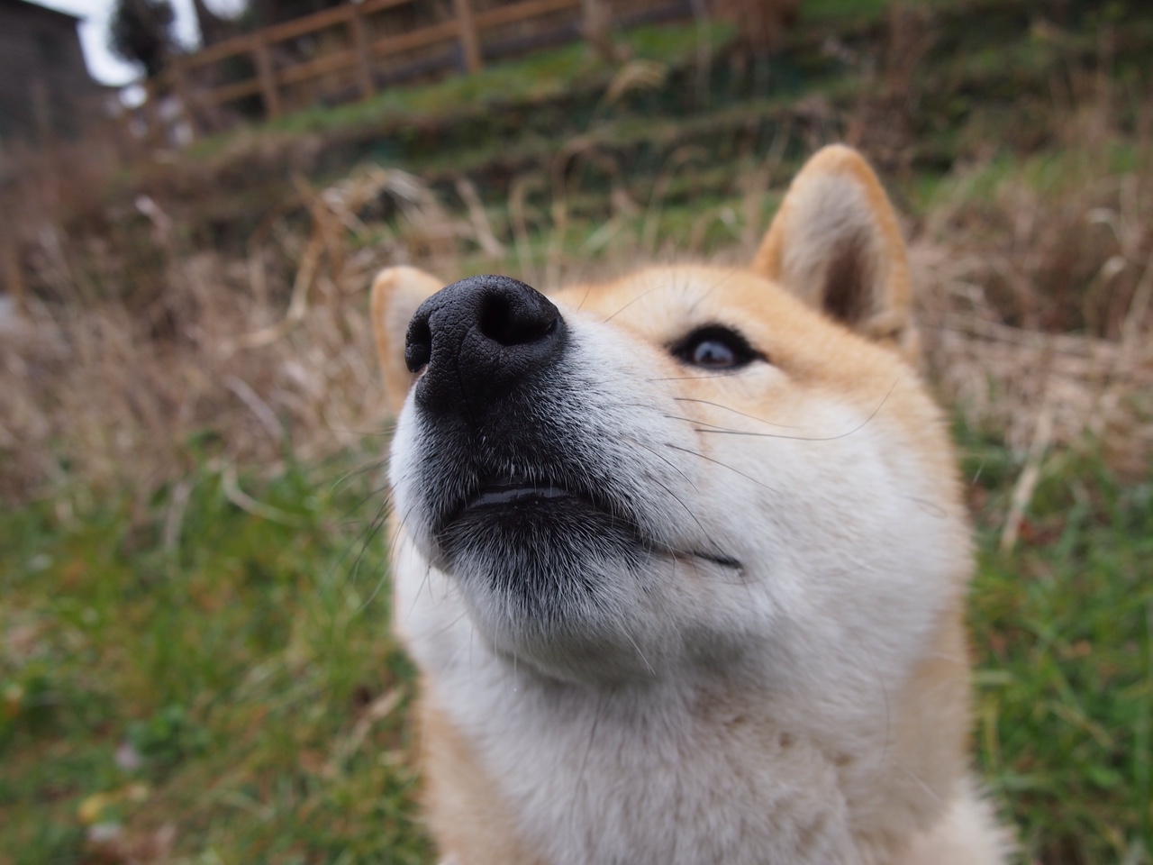 pg电子游戏-战争与足球，基米希的手术刀，伊拉克的碾压机—关键时刻，方显英雄本色