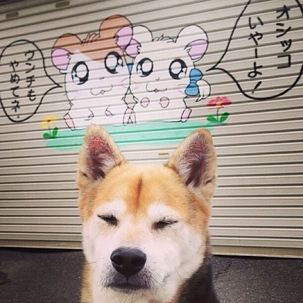 尼日利亚封锁英格兰，罗德里刷新纪录，足球之夜的双重震撼