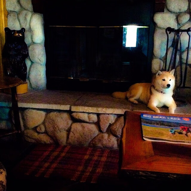 横扫与接管,鹈鹕的团队胜利与西亚卡姆的个人英雄主义