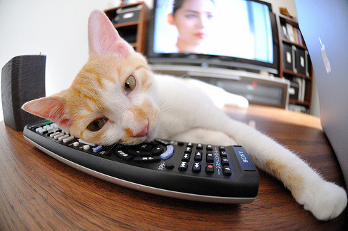 刹车区，当莫兰特在F1揭幕战接管比赛