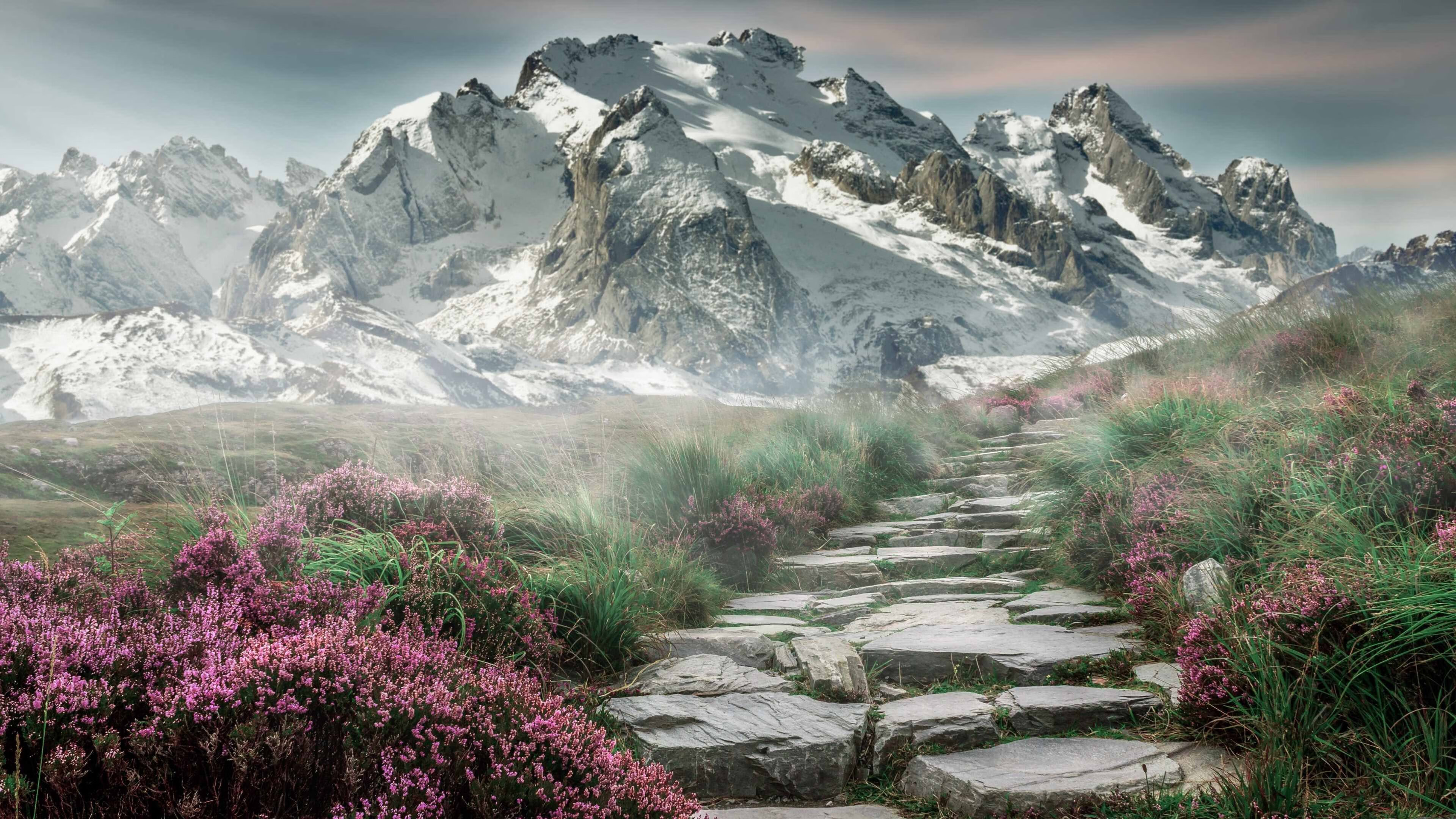 pg电子模拟器试玩在线-骑士一波流撕裂山西,欧文关键先生本色尽显