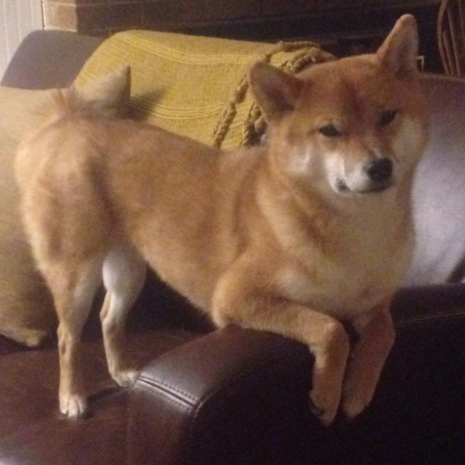 pg电子模拟器-当欧冠级战术照亮绿茵，中国防线如何织就天罗地网锁死厄瓜多尔？