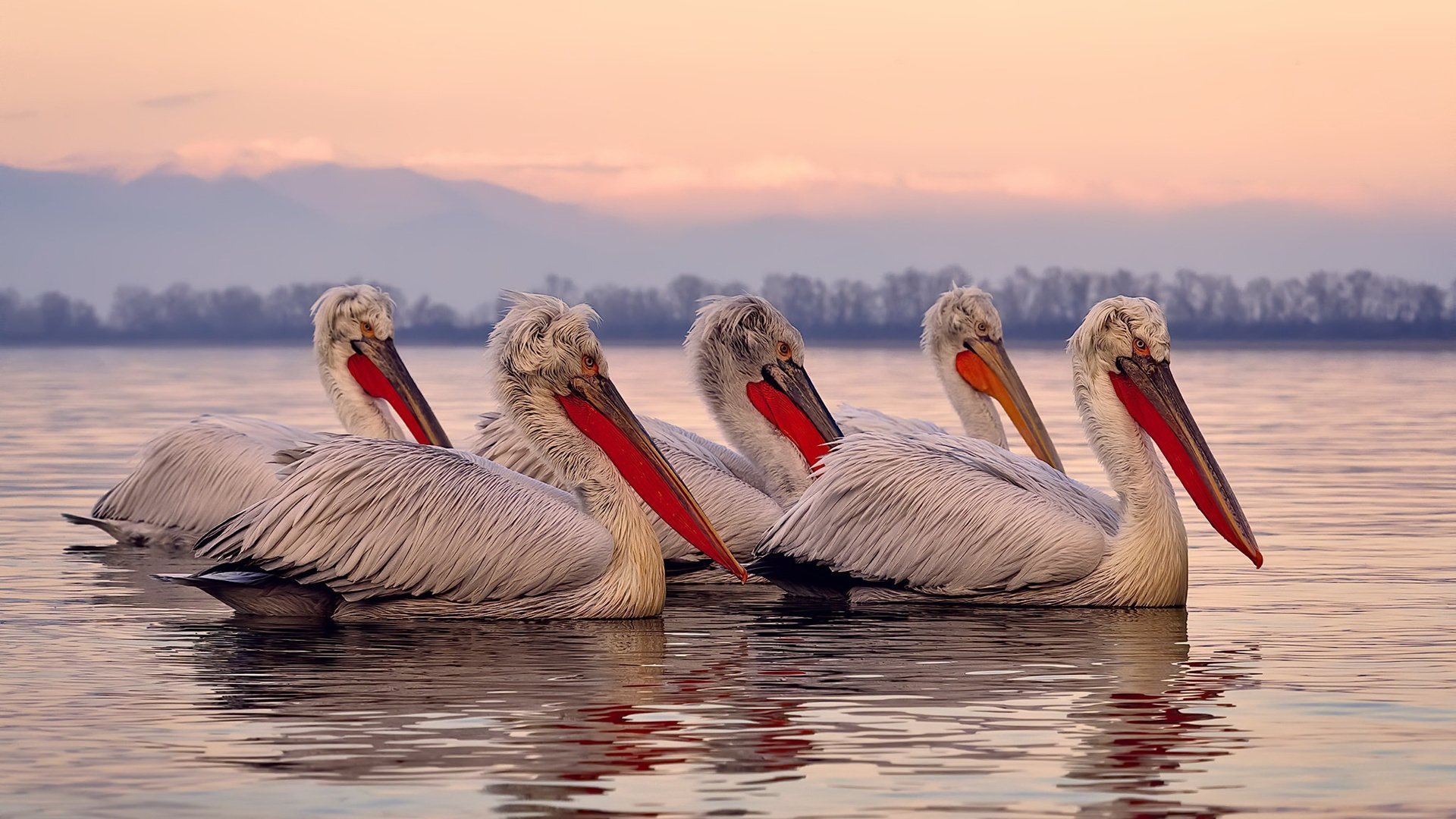 pg电子游戏-隔空共振，当雷霆划过浦江，乔治在地中海彼岸亮剑