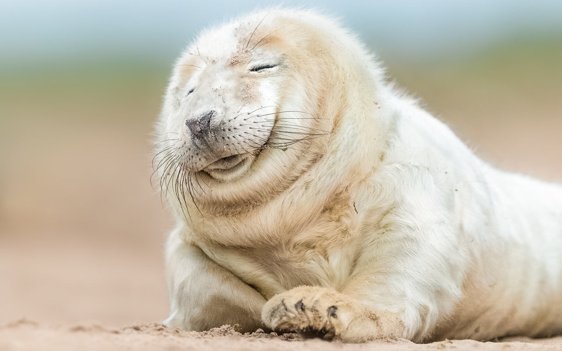 pg电子游戏-数字时代的德意志意志，2026世界杯焦点战，德国以曼城式战术战胜蓝月军团