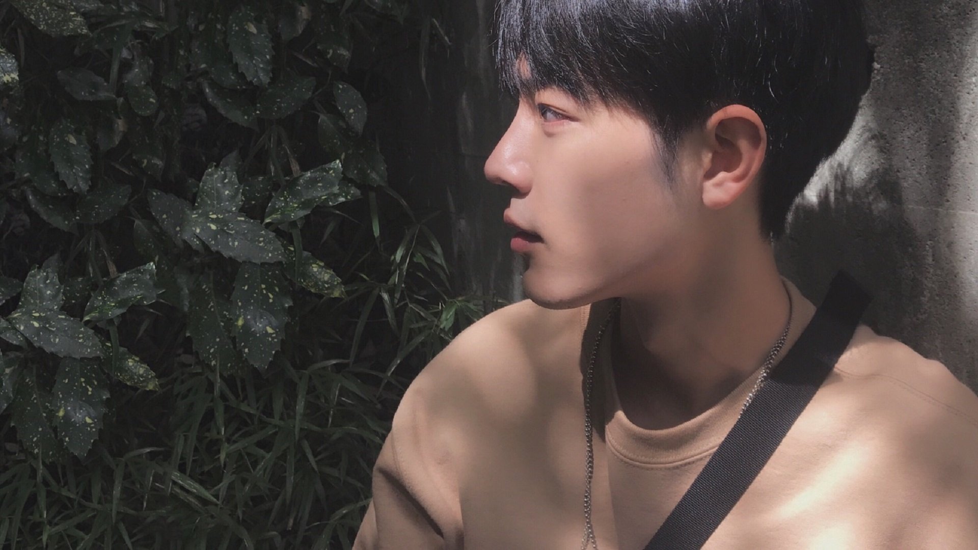 美加墨世界杯风云，波兰提前终结曼联式悬念，帕尔默接管比赛闪耀赛场