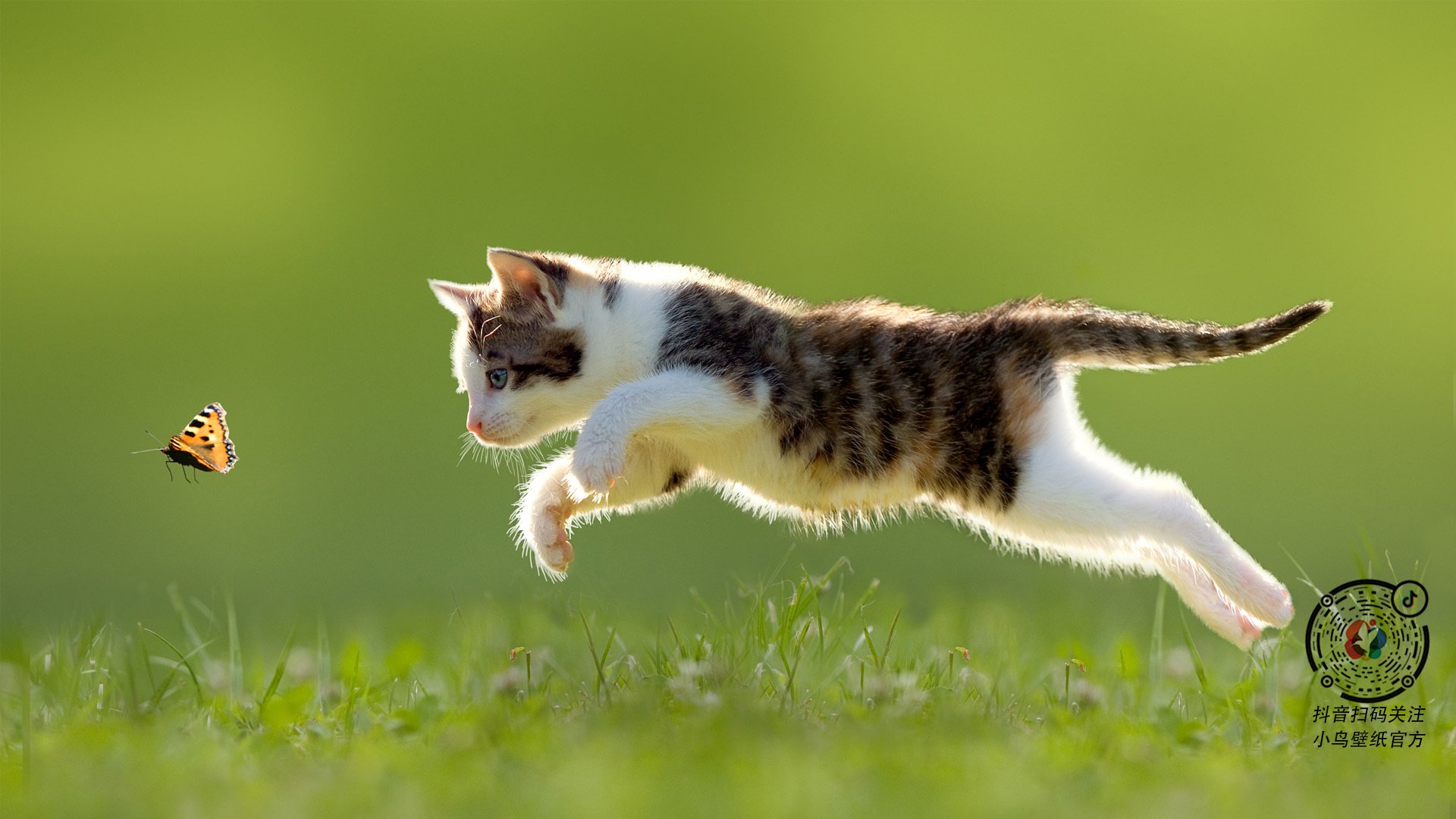土耳其豪门惨遭数据碾压，奥利维耶用一场比赛写就的大师级定义
