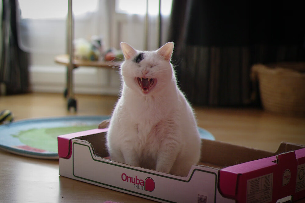 pg电子下载-双城记，当钢铁风暴吹垮大理石神殿，奥利维耶于焦点战中为自己正名