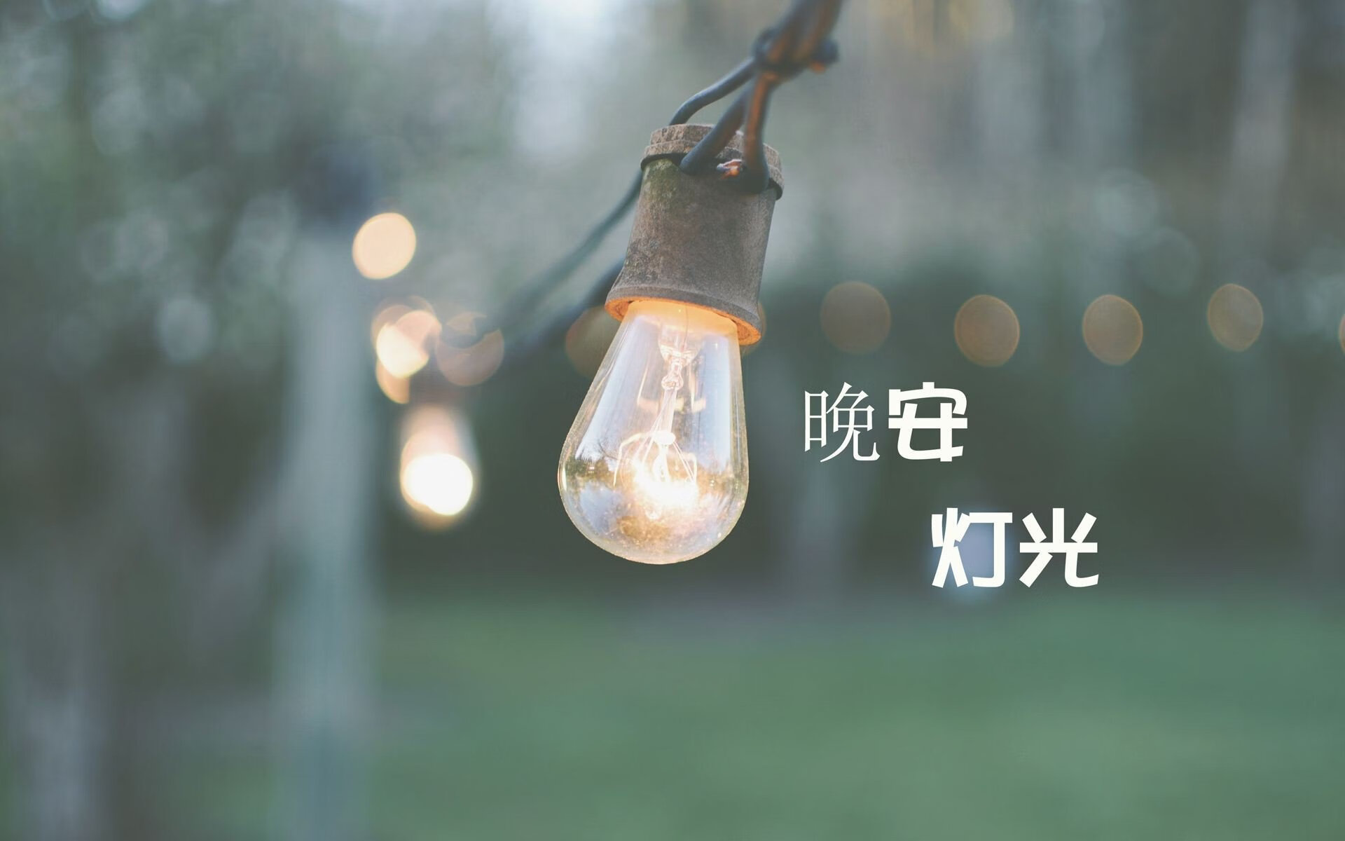 北欧风暴席卷H组,瑞典高压逼抢压制沙特,B费献上大师级表演